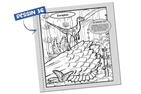 Livre d'activité dinosaure